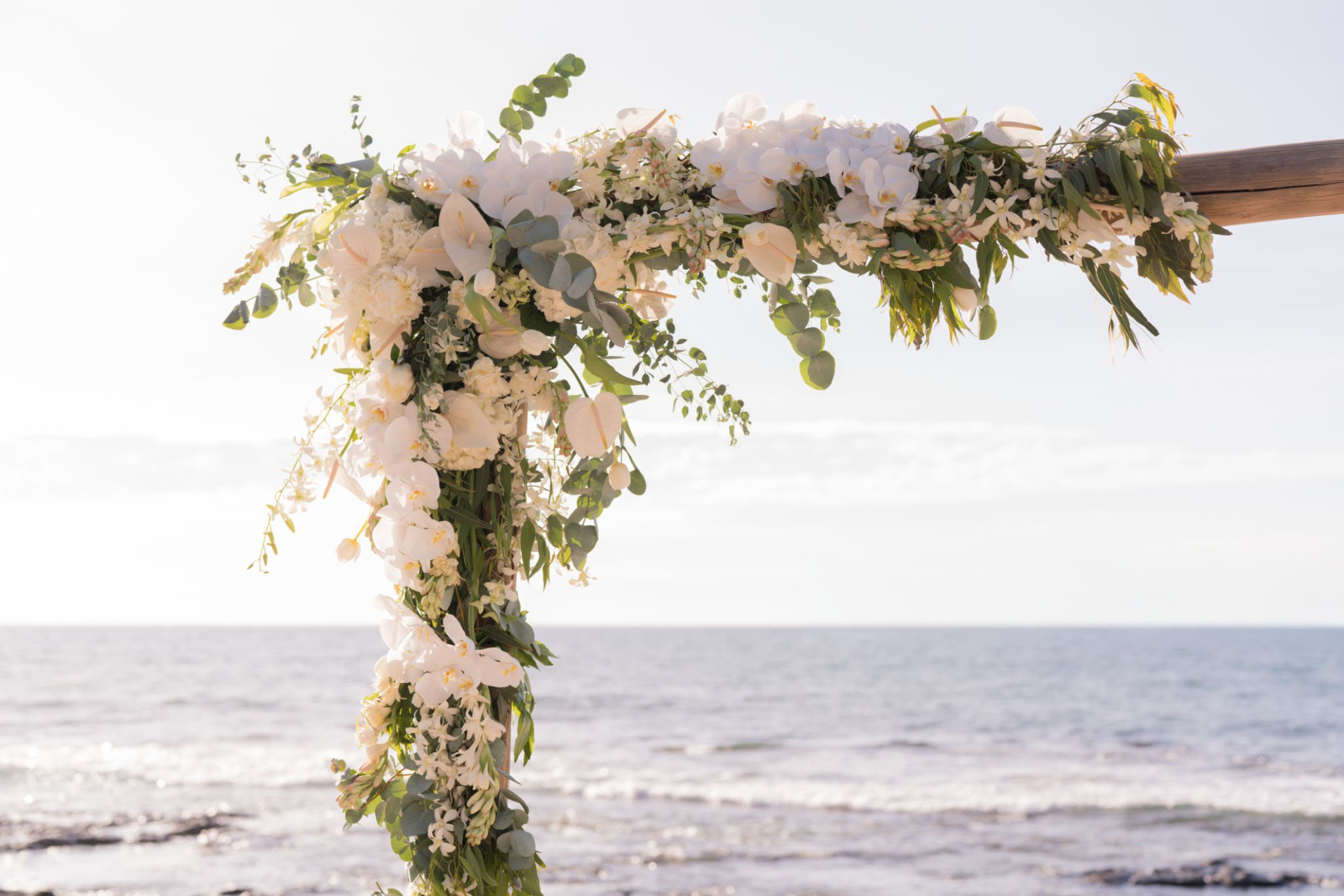 Intimate Weddings & Elopements